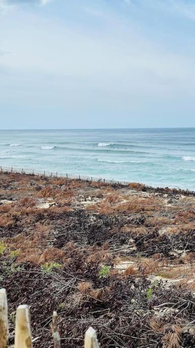 Appartement 2 A 4 Personnes A 50M De La Plage Lacanau Eksteriør bilde