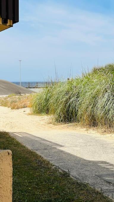 Appartement 2 A 4 Personnes A 50M De La Plage Lacanau Eksteriør bilde